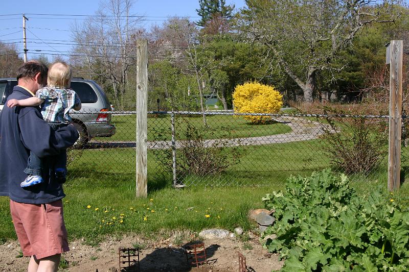 Picture 4243.jpg